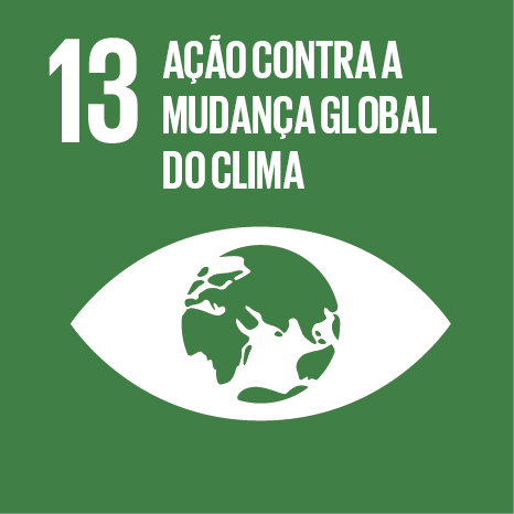 ODS 13 - Ação Climática